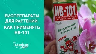 Активатор жизни растений HB-101. Как правильно применять этот биопрепарат.