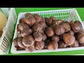 UD Buah Segar Dhik Alyn Karangwetan, Salamrejo