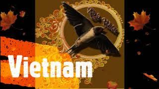 Suara Inap Raja Walet Vietnam Mr. Yhuan