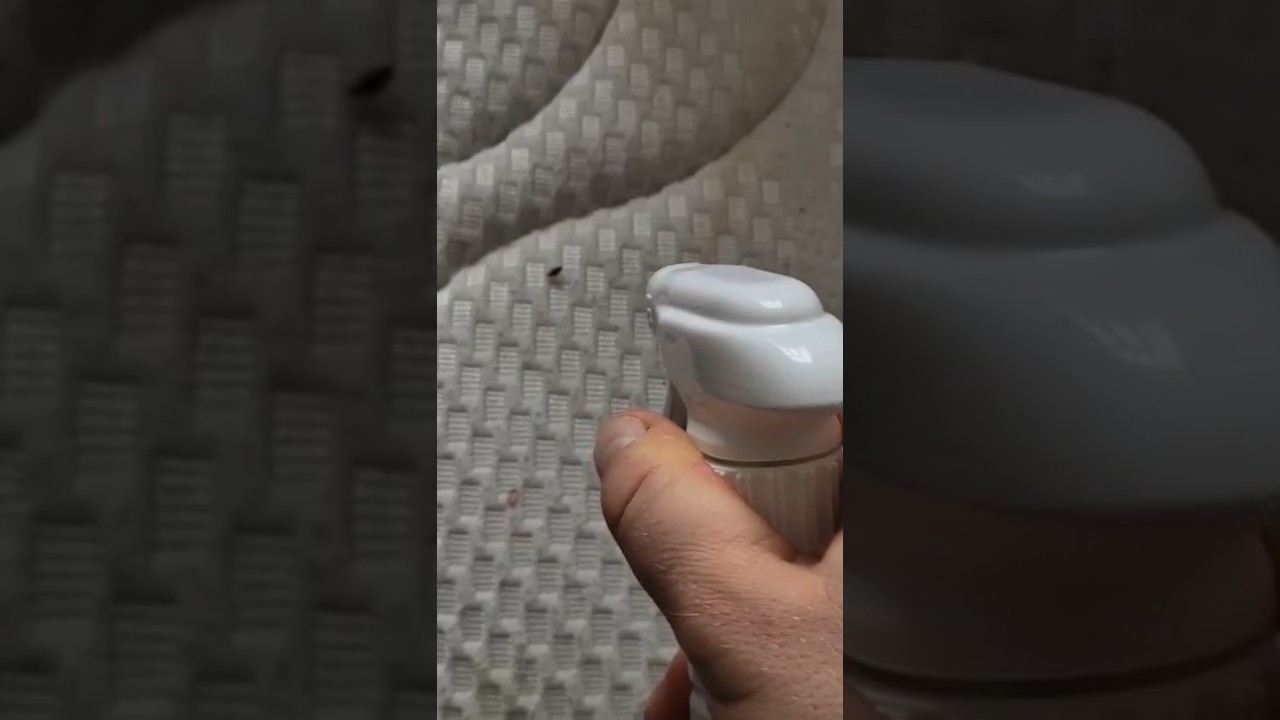 Je pulvérise une punaise de lit avec l’Anoxide… regardez le résultat 😳🪲 