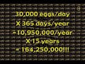 End of video