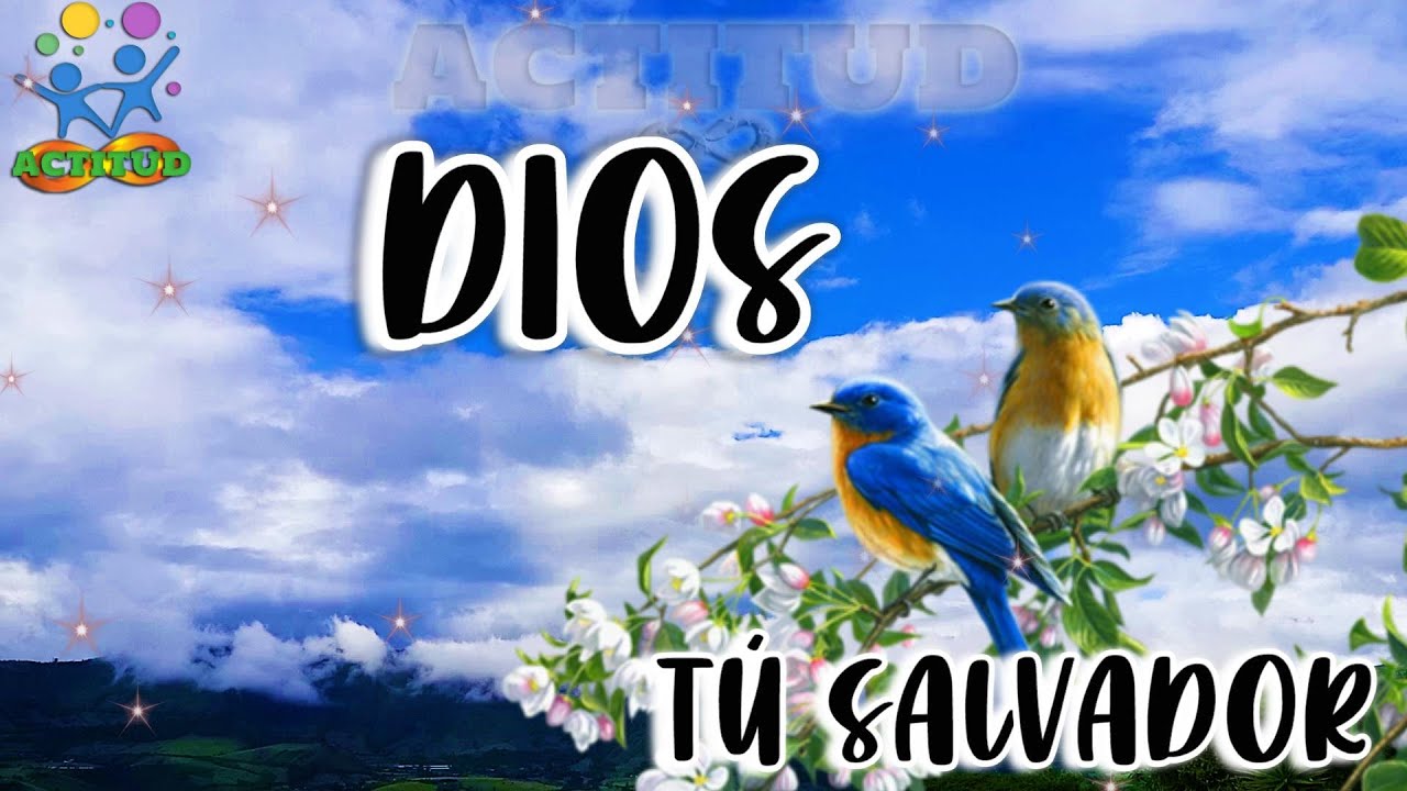 Dios bendice tu día 🙏 Dios te dice hoy ten fe todo llega a su tiempo 🙏 ...