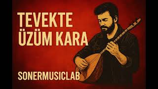 Tevekte Üzüm Kara 70S Psychedelic Anatolian Rock Resimi