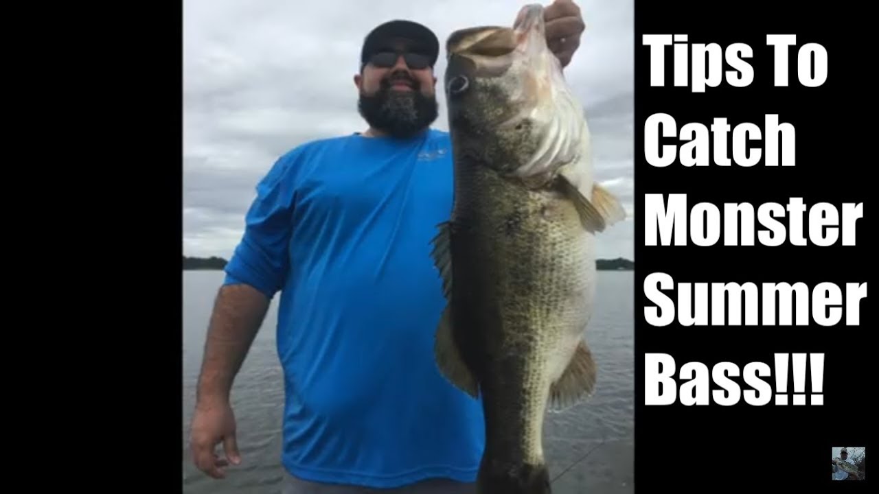 Lake Fork Bass Fishing Tips: Carolina Rig 