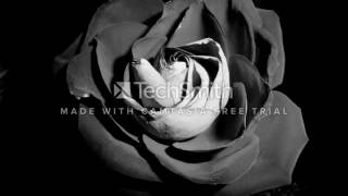 Monika - Lustro Cover