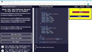 Basic CSS (20/44) | Add Different Margins to Each Side of an Element | freeCodeCamp
