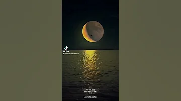 بحبك وداري ليلي ونهاري عملت لقلبي ايه 