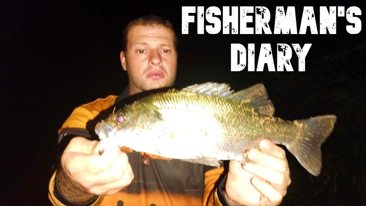 Topwater Bass Fishing At Aratula ~ Fisherman’s Diary Ep 710
