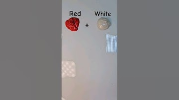 How to get ❤️ +🤍= 🩷 #colormixing #oddlysatisfying #whitepaint #tappingsounds #asmr #asmrart