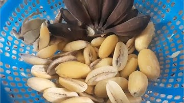 Chuối sáp,Tiền Giang,mua bán chuối ở Tiền Giang