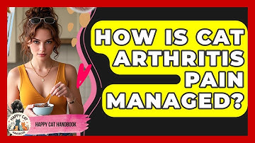 How Is Cat Arthritis Pain Managed? - Happy Cat Handbook