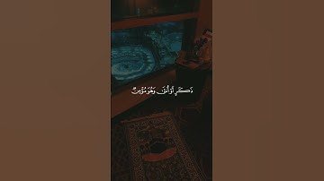 مَنْ عَمِلَ سَيِّئَةً فَلَا يُجْزَىٰ إِلَّا مِثْلَهَا ۖ #quran #قرآن #تلاوات #تلاوة #تلاوات_خاشعة