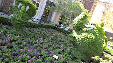 Disney College Program Vlog 3 (fall 2011)