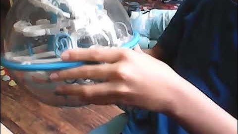 Perplexus Epic Any % Personal Best