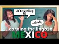 Speaking That 🇲🇽 Lingo: Gringos in Mexico