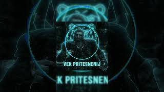 ВЕК ПРЕТИСНЕНИЙ ПЕРЕДЕЛАН ИИ В ФОНК #game #музыка #ии #фонк #скайрим #music #ai #syno #phonk #skyrim