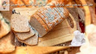 كيف تستفيد من عفن الخبز بدلا من التخلص منه ؟