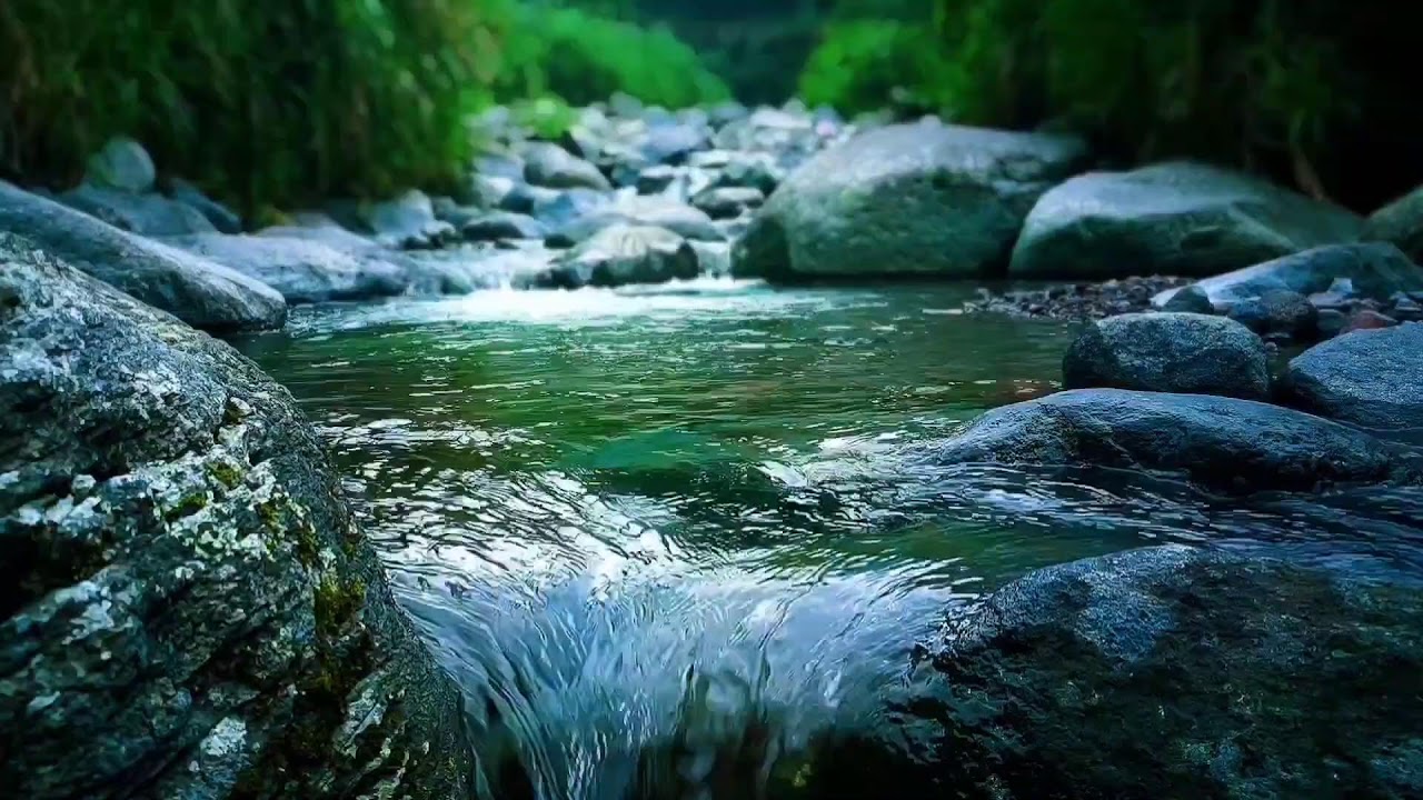 🍀 Gentle River Stream ASMR for Deep Sleep, Study Focus & Relaxing Mind