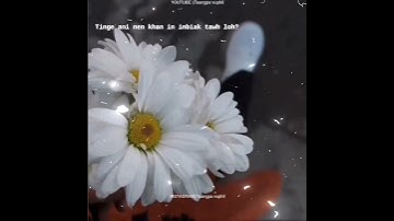 Young fella ft Rebecca /HRIAT KA DUH WHATAPPS STATUS VIDEO