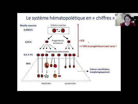 Vidéo: Quels organes sont capables d'hématopoïèse extramédullaire ?