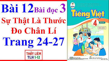 Tiếng Việt Lớp 4 Bài 12 | Sự Thật Là Thước Đo Chân Lí | Trang 24 - 27 | Cánh Diều | Bài Đọc 3
