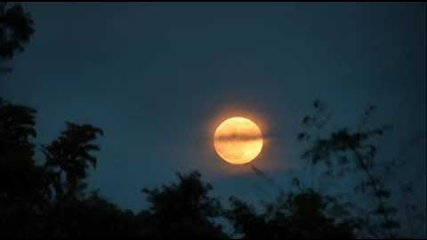 ما أجملها تلاوه عذبه ترق لها القلوب | جمال الهيثمي