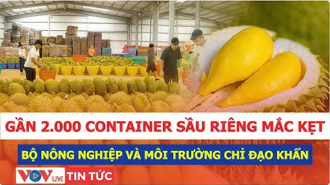Gần 2.000 container sầu riêng ách tắc do nơi xét nghiệm đang bảo trì–Bộ Nông nghiệp phát lệnh khẩn!