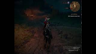 The Witcher 3: Wild Hunt #7