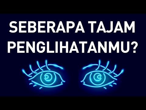 Video: 6 Hal yang Dapat Anda Pelajari Tentang Kesehatan Anjing Anda Hanya Dengan Melihat Ke Dalam Mata Mereka