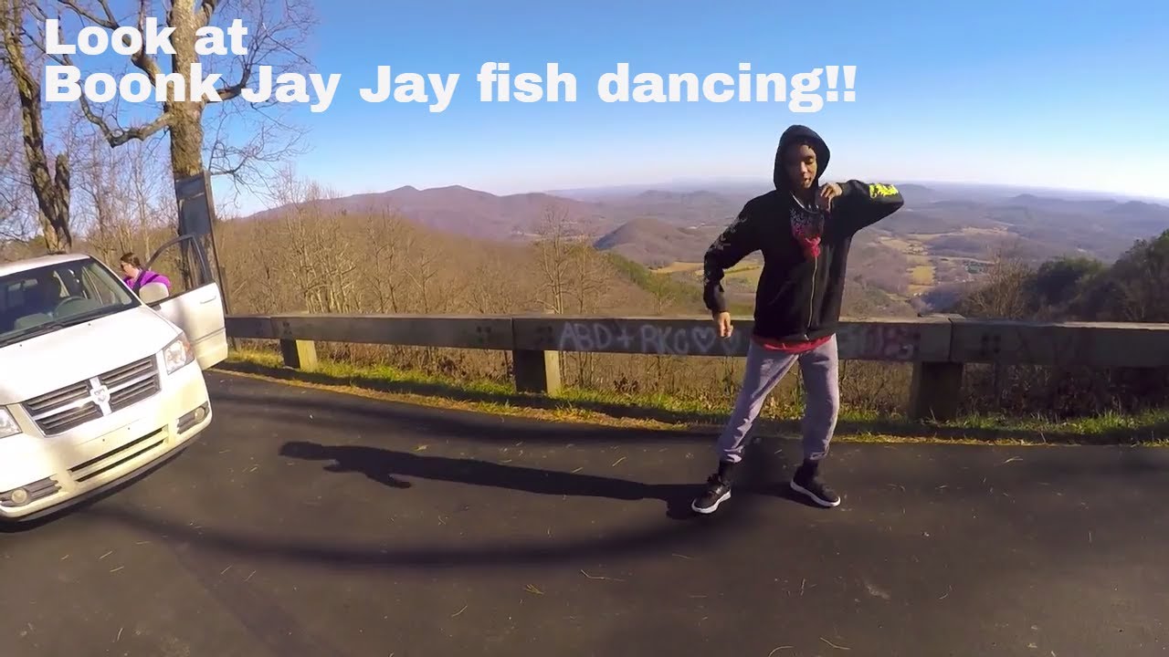 If Boonk and Ice Jay Jay fish had a baby !!!! YouTube