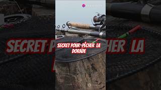 Secret Pour Pêcher La Dorade