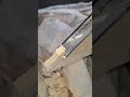 Wood Joint Finishing | Clean Fit #shorts #woodworking