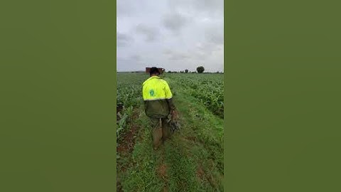 lineman life| power man life in rain time #hescom #news