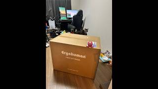 デカすぎる椅子が届いたので開封し組み立てる配信