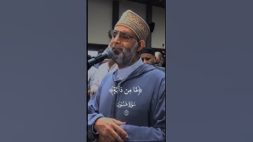 استمتع مع الشيخ حسن صالح أية ( إنى توكلت على الله ربى وربكم ) من سورة هود بالصلاة