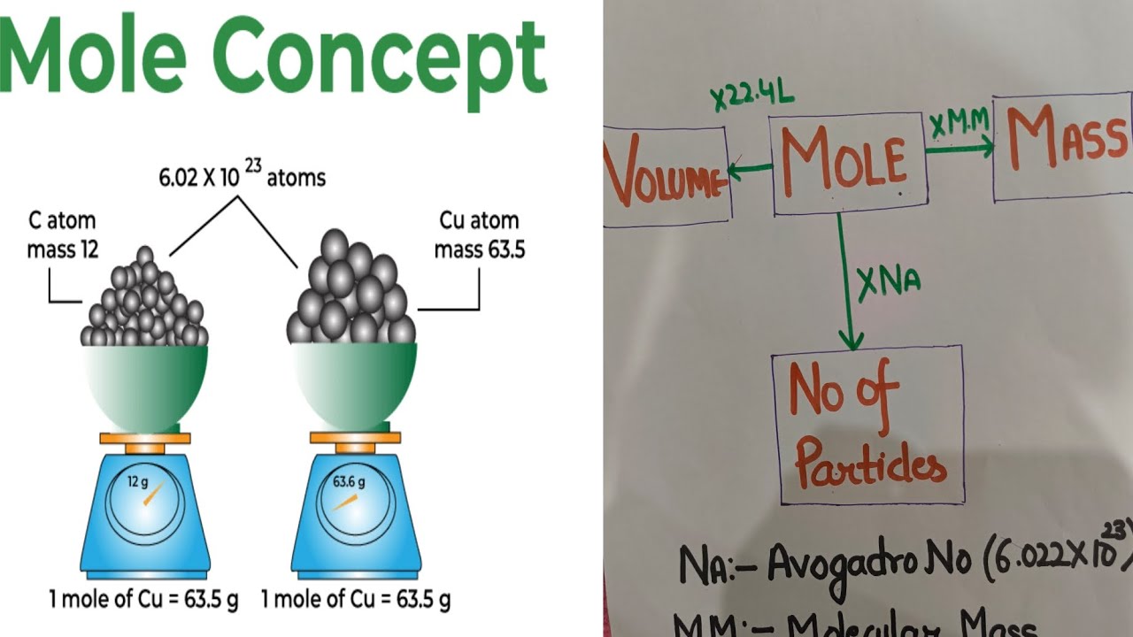MOLE CONCEPT IN 1 SHOT WITH QUESTION PRACTISE ( PART 1 ) - YouTube