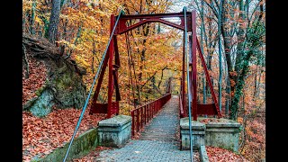 Aleea De Cură Balneară - Călimănești
