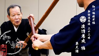 Circle of Harmony Special Edition/Shinkage-ryu Martial Arts, 22nd