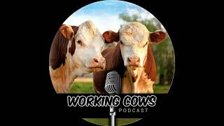 Gabe Brown on Helping the Next Generation Succeed (WCP 472)
