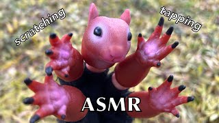 ASMR Tapping and scratching outdoors with a squirrel finger puppet 🐿️ Whispering, nature sounds