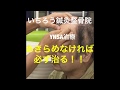 いちろう鍼灸整骨院 外傷性クモ膜下出血による片麻痺、失語症に対するYNSA治療