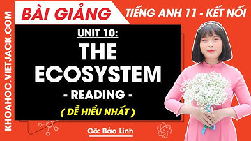 Tiếng Anh lớp 11 Unit 10: Reading - trang 113, 114 | Global success (DỄ HIỂU NHẤT)