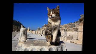 Sende Vurerkan Sönmez Kenan Güçlütürk Official Video