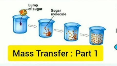 Mass Transfer : The Beginning , building the BASICS