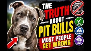 The Truth About Pit Bulls Most People Get Wrong