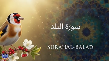 Surah Al-Balad | سورة البلد