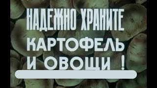 Хранение картофеля