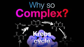 The hidden logic behind life's pathways | EoB Ch00