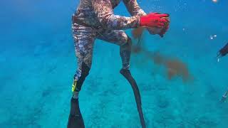 Quick dive compilation at Tracks beach 🤙🏾