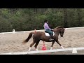 How to Ride an Accurate 20m Circle in a 20 x 40m Arena
